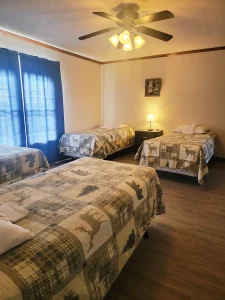 Cabin 12 bed