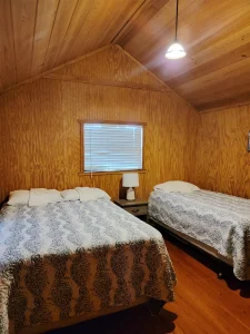 Cabin 19 bed